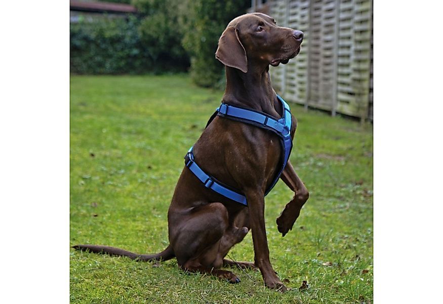 AnnyX Hunde-Geschirr Brustgeschirr Fun - gepolstert - superbequem, Nylon, b günstig online kaufen