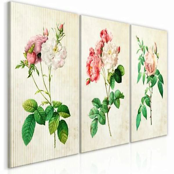 artgeist Wandbild Floral Trio (Collection) mehrfarbig Gr. 60 x 30 günstig online kaufen