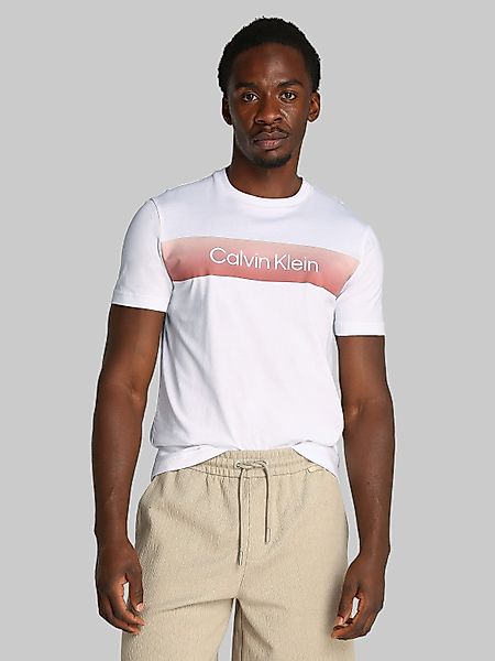 Calvin Klein T-Shirt LINEAR OMBRE CHEST günstig online kaufen