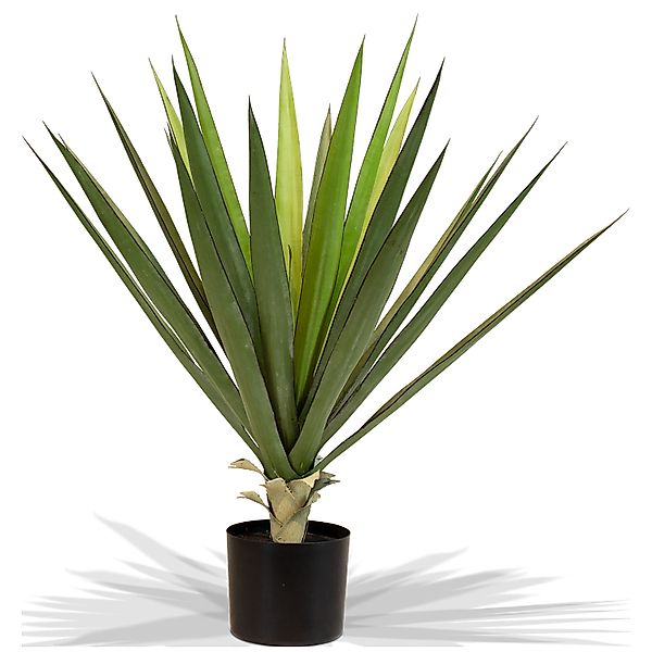 Sisal - Agave sisalana Kunstpflanze, 75cm günstig online kaufen