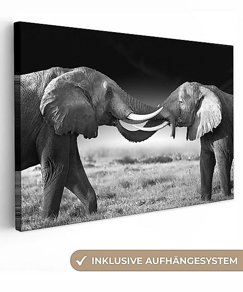 OneMillionCanvasses® Leinwandbild Elefant - Tiere - Schwarz und weiß - Port günstig online kaufen