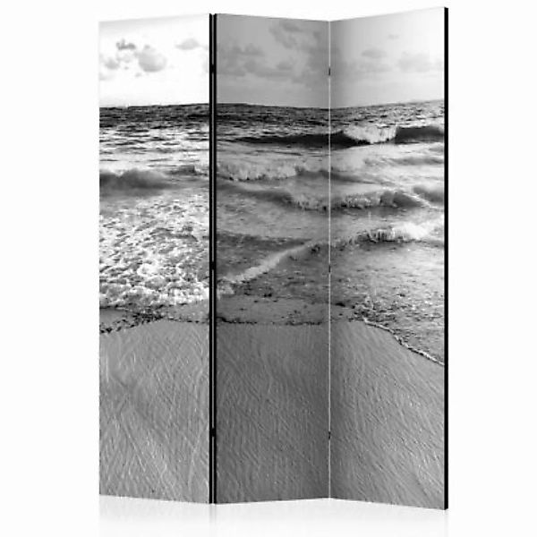 artgeist Paravent Subtle Afternoon [Room Dividers] schwarz/weiß Gr. 135 x 1 günstig online kaufen