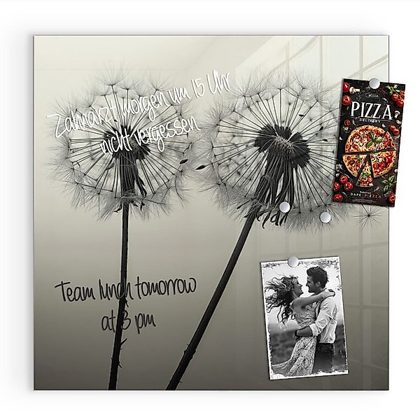 Primedeco Magnettafel Glas Pusteblume Schwarz Pinnwand günstig online kaufen
