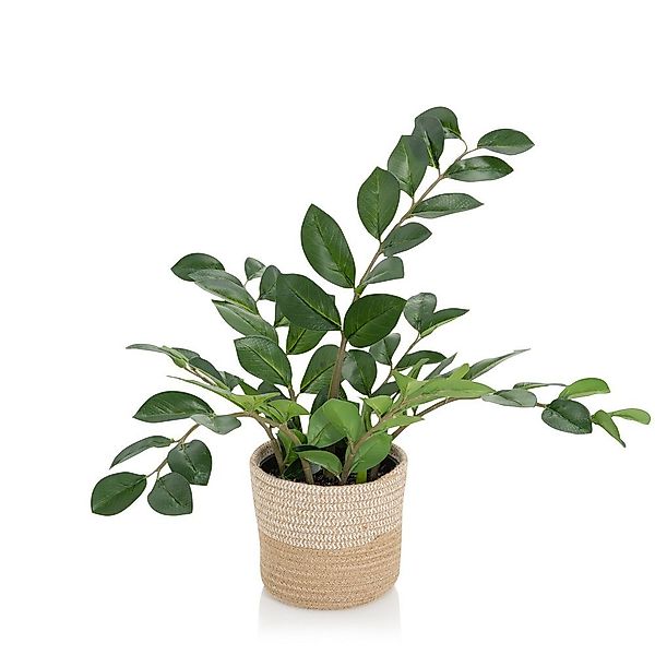 Kunstpflanze Kunstpflanze ZAMIE Kunststoff, Stoff Zamioculcas günstig online kaufen