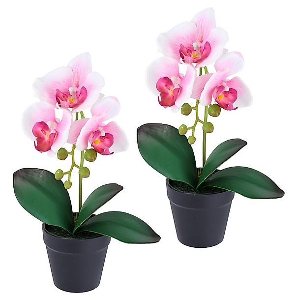 Kunstorchidee Orchidee im Topf 2er Set, I.GE.A., Höhe 30 cm, Künstliche Pha günstig online kaufen