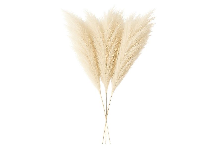 Kunstpflanze Layba Künstliches Pampasgras in Beige – 3er-Set Pampas gras, L günstig online kaufen