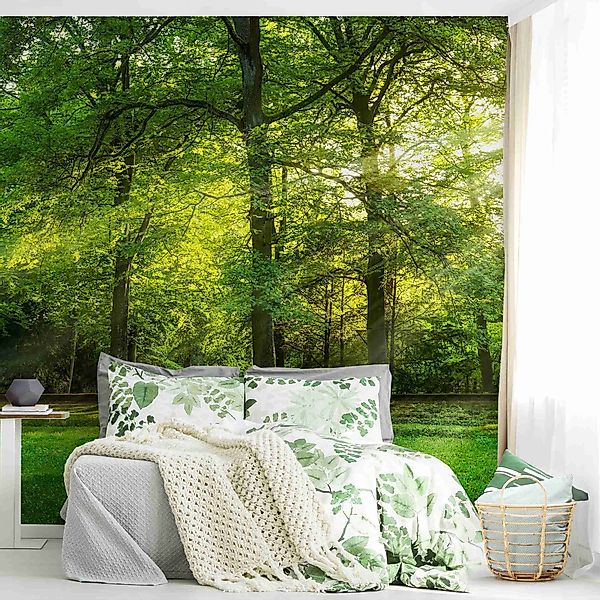 Bilderdepot24 Fototapete Wald Spaziergang Wald Natur günstig online kaufen