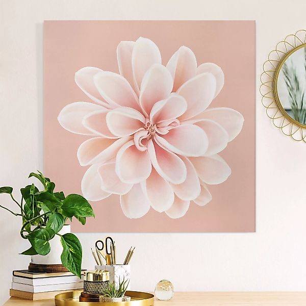 Leinwandbild Dahlie Rosa Pastell Weiß Zentriert günstig online kaufen