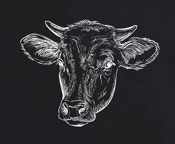 Baddery Print-Shirt Herren T-Shirt: "Almstolz" - günstig online kaufen