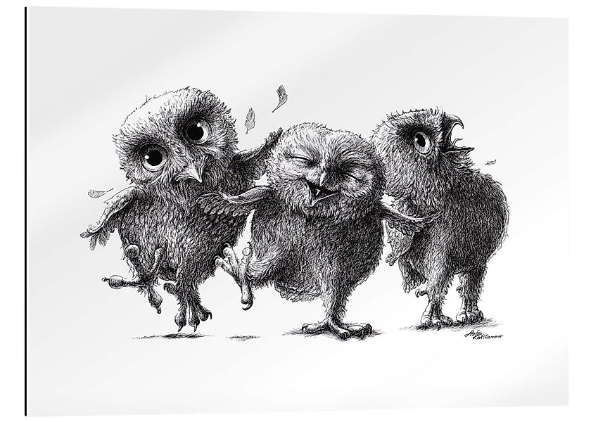 Posterlounge Wandbild Drei verrückte Eulen, Stefan günstig online kaufen