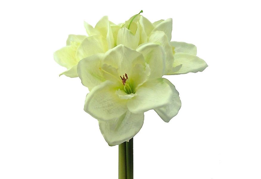 Kunstblume Kunstblume AMARYLLIS 32cm. BUND mit 3 Amarillis., Gasper, Höhe 3 günstig online kaufen