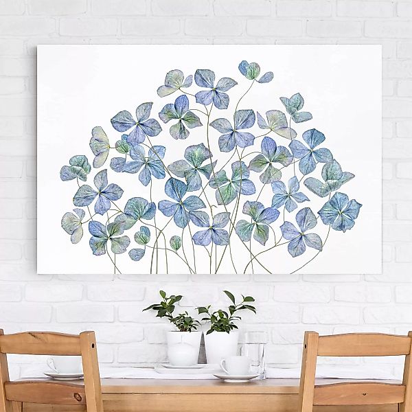 Leinwandbild Blumen - Querformat Blaue Hortensienblüten günstig online kaufen