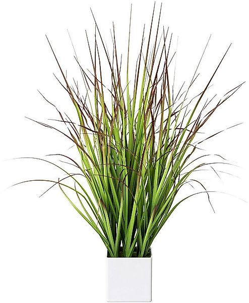 Kunstgras Blutgras, Creativ green, Höhe 76 cm, im weißen Kunststofftopf günstig online kaufen