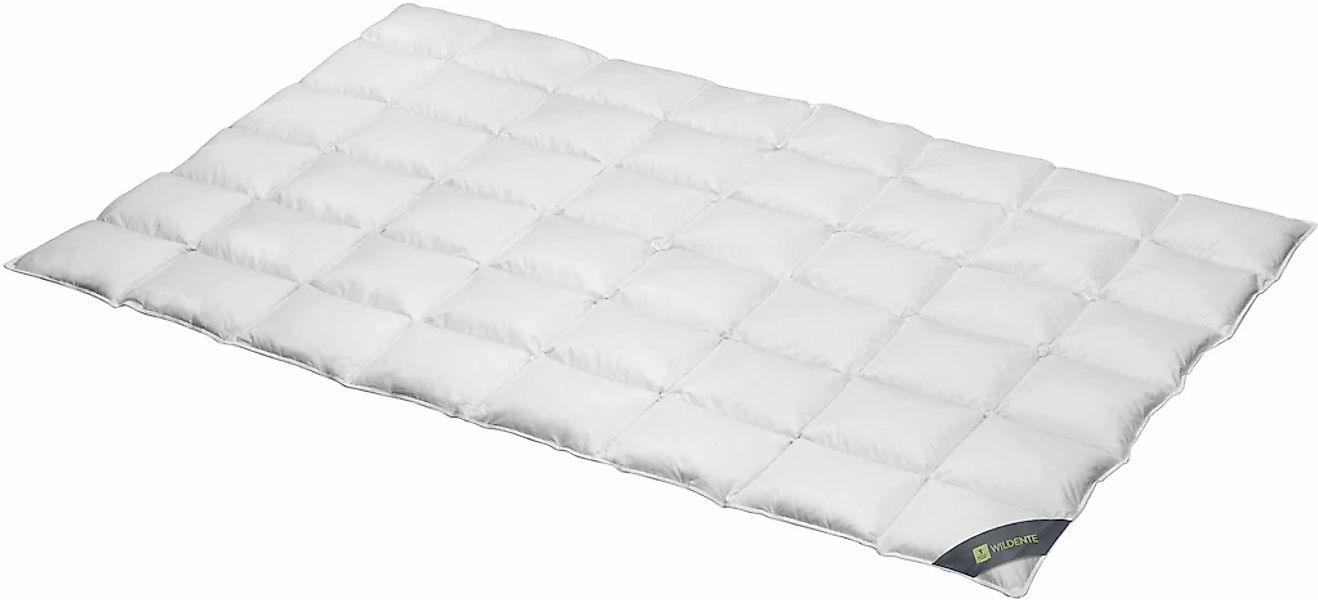 SPESSARTTRAUM Daunenbettdecke "Wildente Bettdecken 135x200cm & weitere Größ günstig online kaufen