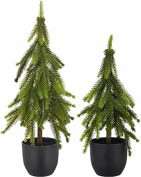 Creativ green Winterliche Kunstpflanze "Tannenbäumchen" günstig online kaufen