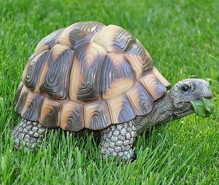 dazikemo Gartenfigur Dekofigur Gartenfigur Teichfigur Schildkröte günstig online kaufen