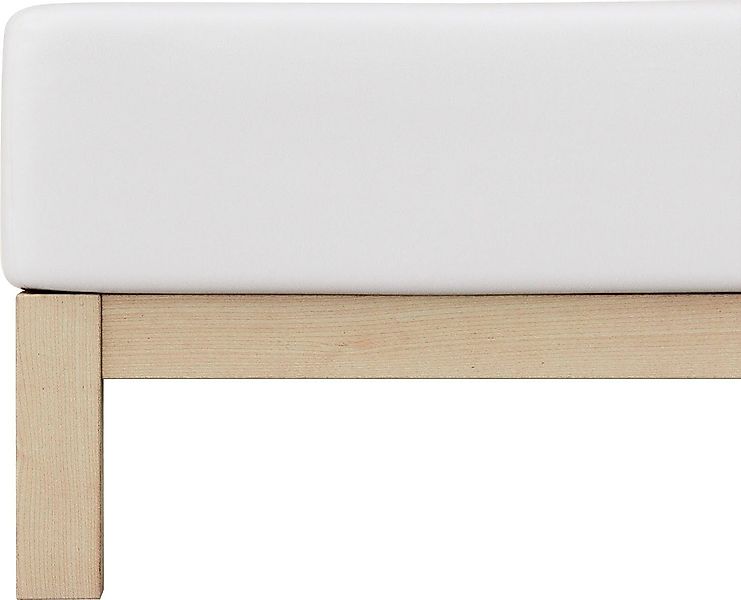 Schlafgut Spannbettlaken PURE Bio-Baumwolle mit Elasthan, günstig online kaufen