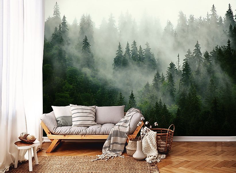 Wallarena Fototapete Wald im Nebel Vlies günstig online kaufen