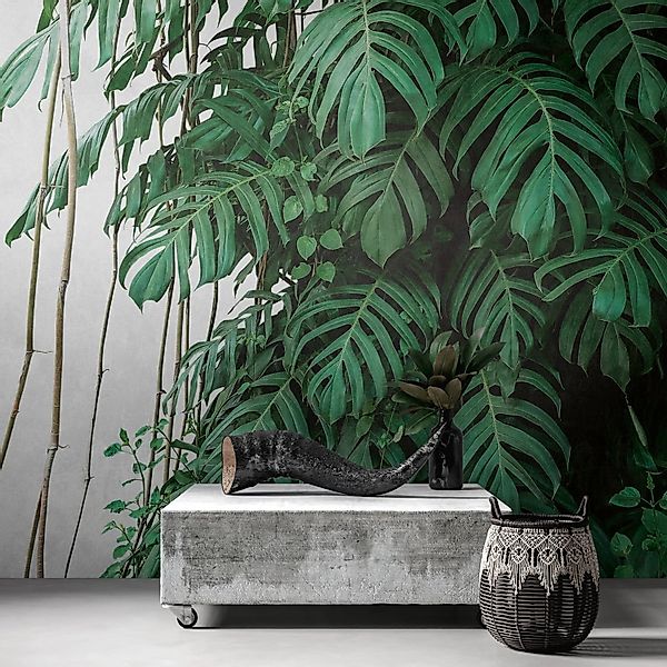 PROFHOME 382411-GU Fototapete Dschungel Matt Grün Grau 3,71 m x 2,8 m 0,53 günstig online kaufen