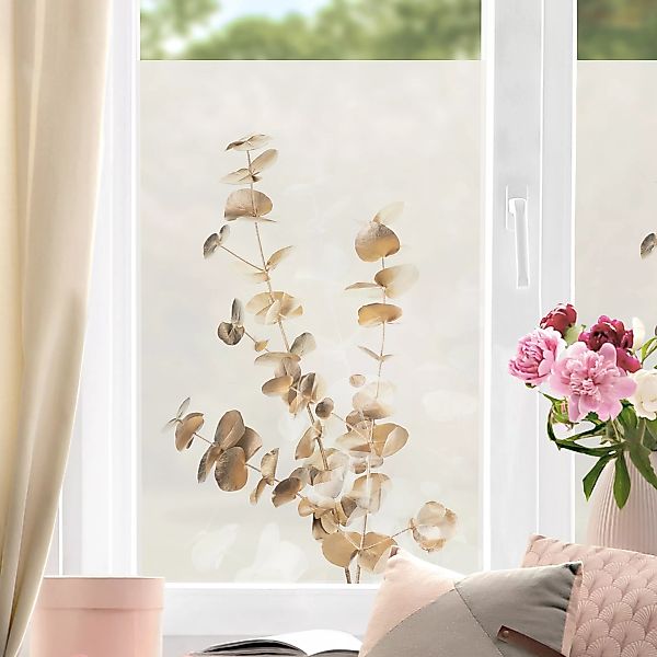 Fensterfolie Goldene Eukalyptuszweige mit Weiß günstig online kaufen