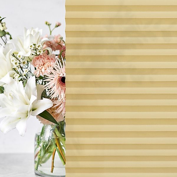 jalousiescout Plissee Pure Plissee, Premium, Polyester-Stoff, günstig online kaufen