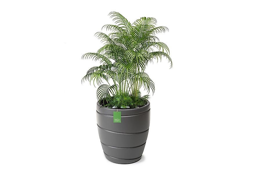 KAGM Pflanzkübel Blumenkübel Pflanzgefäß Innen & Außen versch.Größen und Fa günstig online kaufen