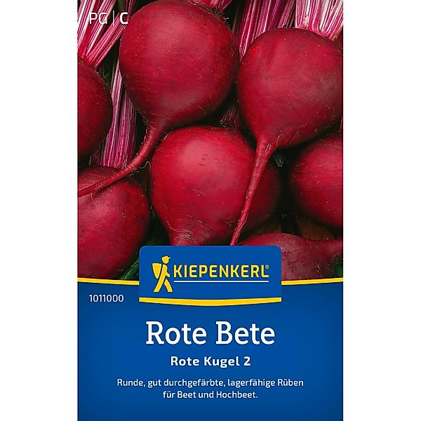 Kiepenkerl Rote Rüben Rote Kugel 2 Zoll günstig online kaufen