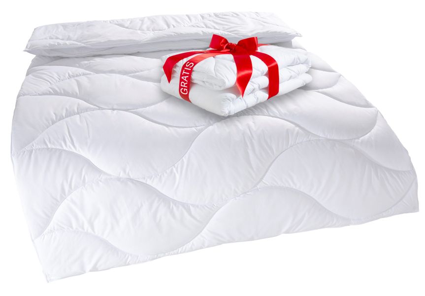 my home Microfaserbettdecke »Caelan, kaufe eine Decke - erhalte die Leichtb günstig online kaufen