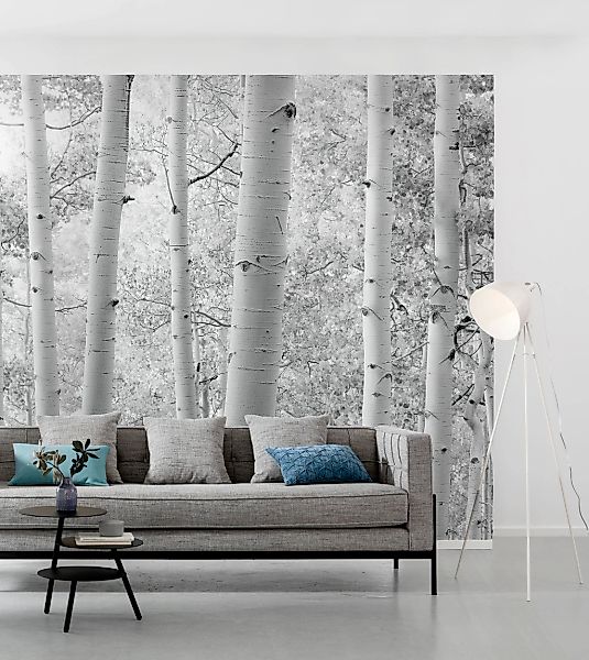 Vlies Fototapete Espenwald 450x280 cm günstig online kaufen