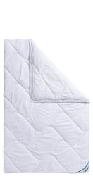 fan Microfaserbettdecke "Microfaser kochfest, Bettdecken für Sommer und Win günstig online kaufen