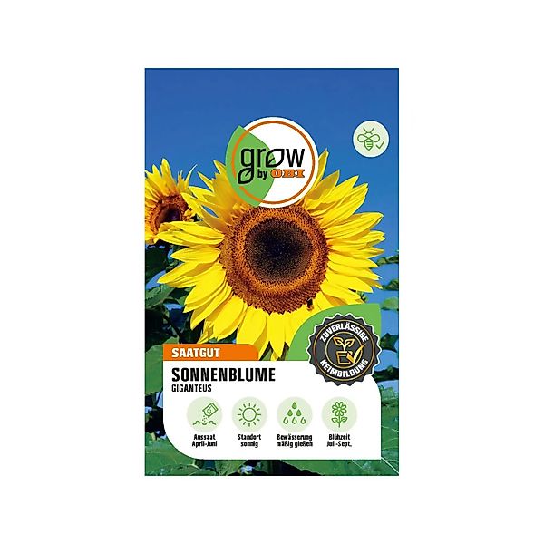 GROW by OBI Riesen-Sonnenblumen Giant Uniflorus Giganteus günstig online kaufen