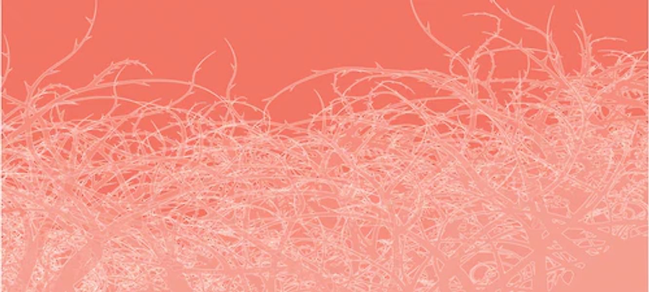 Architects Paper Fototapete »Atelier 47 Thorn Style 1« floral glatt Vlies, günstig online kaufen