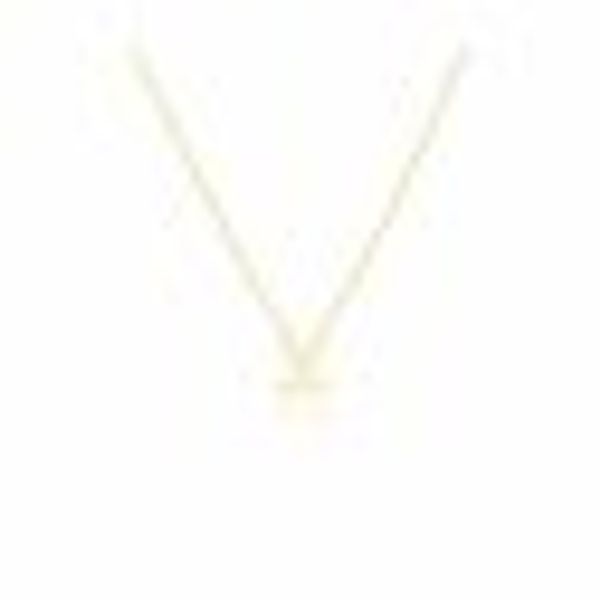 Anhänger mit Kette 925-Sterling Silber vergoldet Glänzend 42cm Fische günstig online kaufen