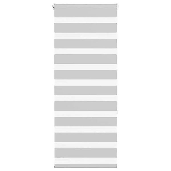 vidaXL Doppelrollo Hellgrau 65x150 cm Stoffbreite 60,9 cm Polyester 4014436 günstig online kaufen