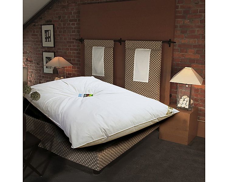 Meivita Gänsefederbettdecke Ballonbett mit 70% Federn und 30% Daunen, Füllu günstig online kaufen