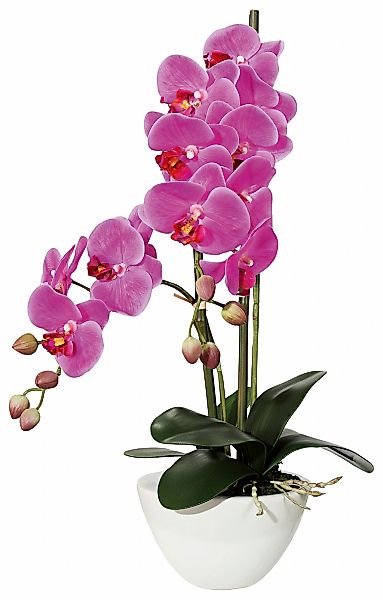 Creativ green Kunstpflanze "Orchidee" günstig online kaufen