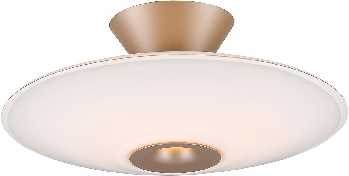 Paul Neuhaus LED Deckenleuchte »ELIPSA« LED-Board 1 Stk. Warmweiß Dimmfähig günstig online kaufen