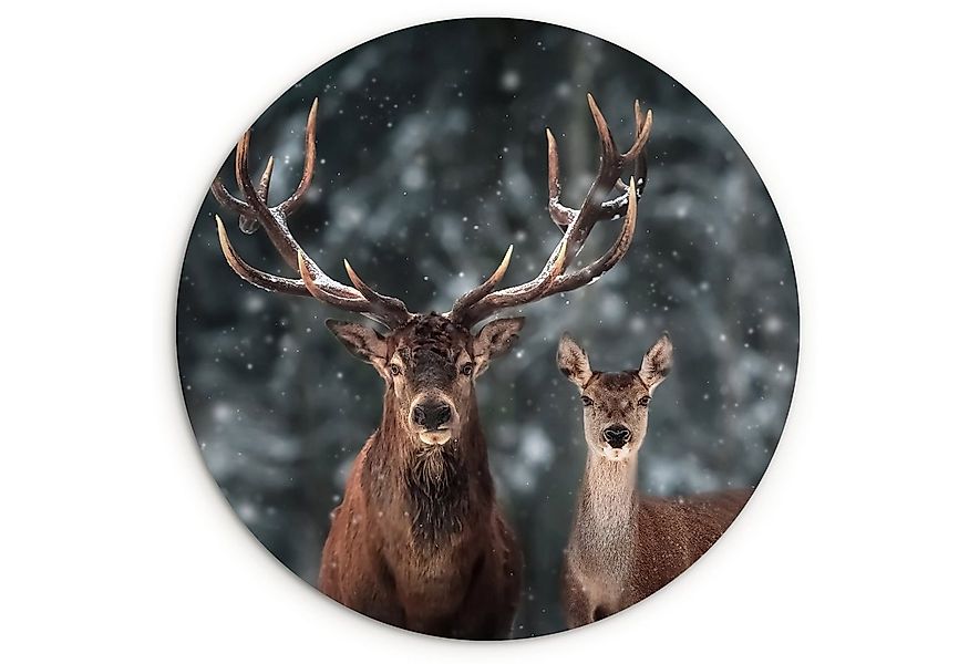MuchoWow Gemälde Hirsche - Tiere - Winter - Geweih - Schnee - Natur, Fotodr günstig online kaufen
