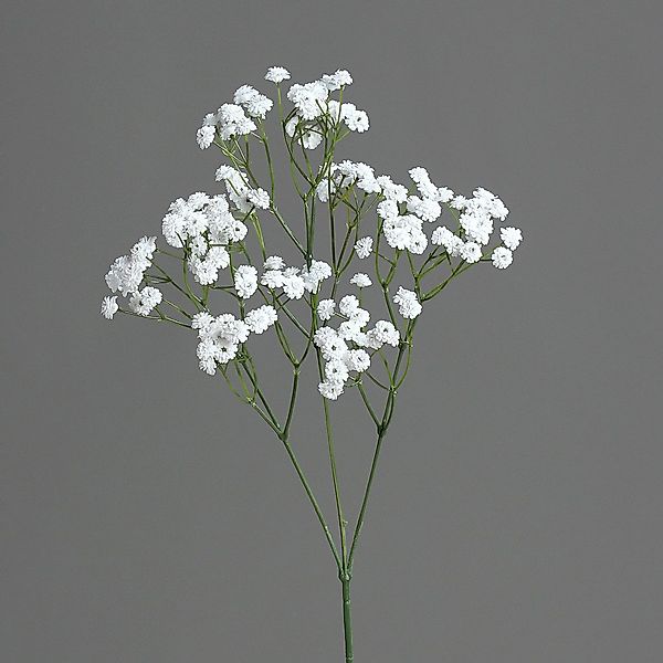 Kunstblume Dekozweig, DPI, Höhe 67 cm günstig online kaufen