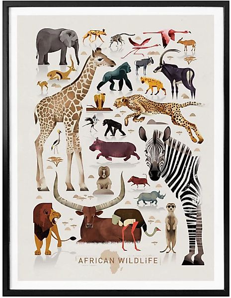 Wall-Art Poster "Africa Safari Tiere Zebra Elefant Löwe", Afrika, (1 St.) günstig online kaufen