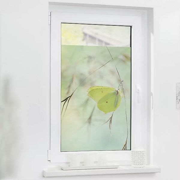 LICHTBLICK Fensterfolie Schmetterling grün B/L: ca. 100x100 cm günstig online kaufen