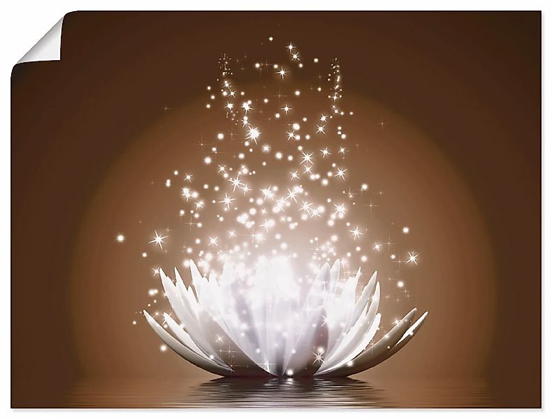 Artland Wandbild "Magie der Lotus-Blume" Blumen 1 Stk. tlg. als Leinwandbil günstig online kaufen