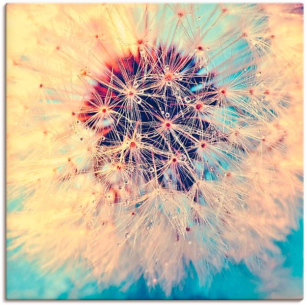Artland Wandbild »Pusteblume ganz nah«, Blumen, (1 St.), als Alubild, Outdo günstig online kaufen