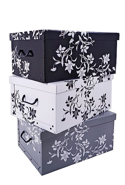 Spetebo Aufbewahrungsbox Storage Box 49x39x24 - günstig online kaufen