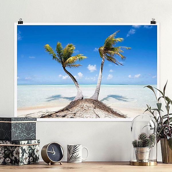 Poster Urlaub unter Palmen günstig online kaufen
