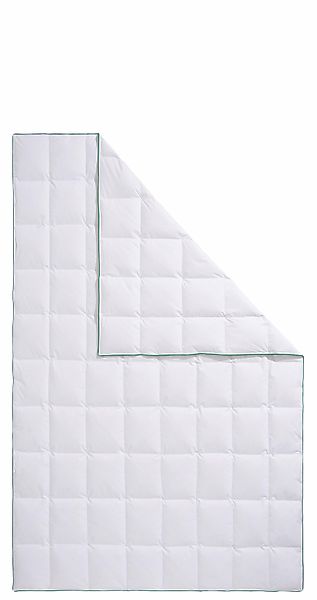 fjödur Daunenbettdecke "Fee" leicht Füllung 80Daunen20Federn 1 Stk. tlg. günstig online kaufen