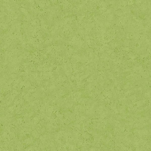 Bricoflor Grüne Tapete in Betonoptik Vlies Betontapete Limettengrün für Ess günstig online kaufen