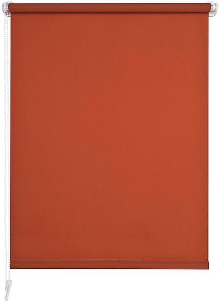 Seitenzugrollo Klemmfix, Liedeco, Lichtschutz, ohne Bohren, günstig online kaufen