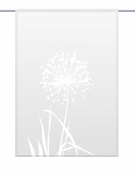 gardinen-for-life Scheibengardine Allium 24 - lichtgrau günstig online kaufen