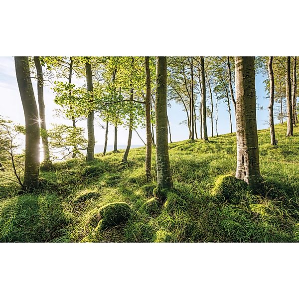Sanders & Sanders Fototapete Landschaft Grün und Blau 450 x 280 cm 612683 günstig online kaufen